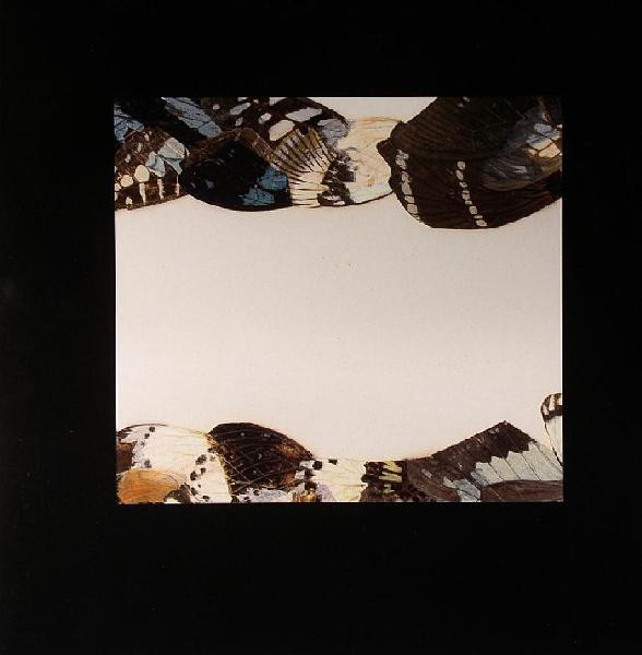 Pantha Du Prince - Butterfly Girl Versions | Dial (dialrec 23) - main Pantha Du Prince - Butterfly Girl Versions | Dial (dialrec 23) - main