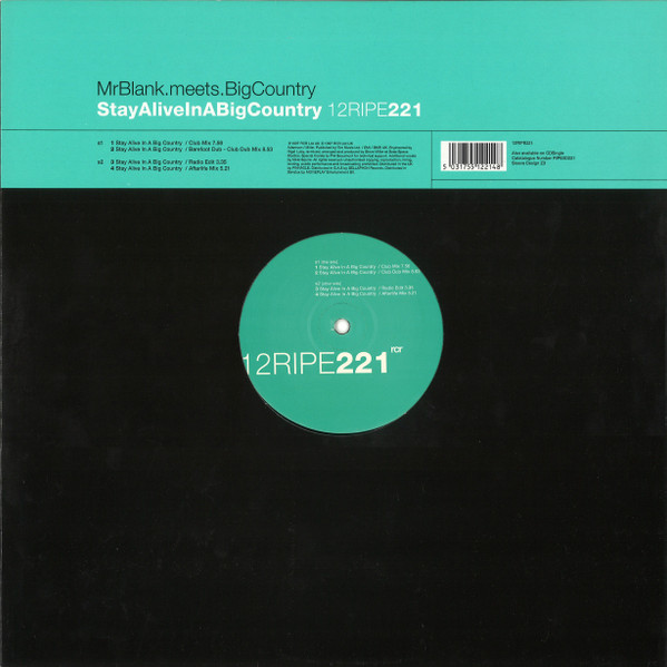 Mr. Blank Meets Big Country - Stay Alive In A Big Country | Ripe Recordings (12RIPE221)