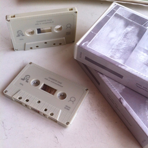 Receptacles, Agitació i Meta-Sentiment