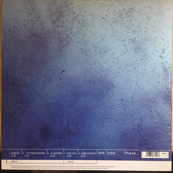 Josh Wink - Are You There... | Ovum Recordings (663791 6) - 2