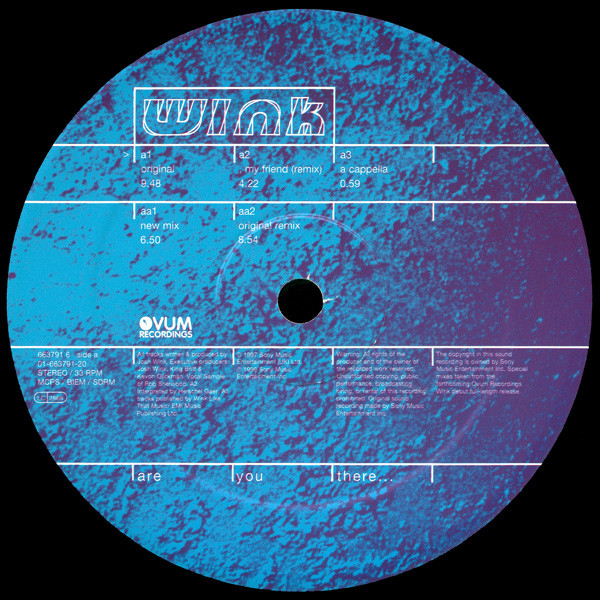 Josh Wink - Are You There... | Ovum Recordings (663791 6) - 3