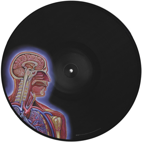 Tool - Lateralus | Volcano (61422-31160-1 LP) - 8 Tool - Lateralus | Volcano (61422-31160-1 LP) - 8