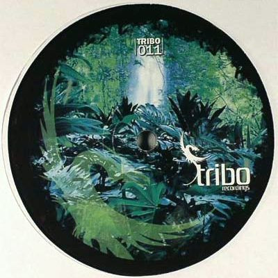 Pedro Carrilho - Niagara | Tribo Recordings (TRIBO 011) - 2
