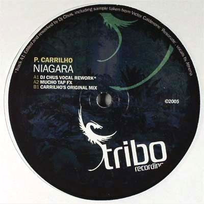 Pedro Carrilho - Niagara | Tribo Recordings (TRIBO 011)