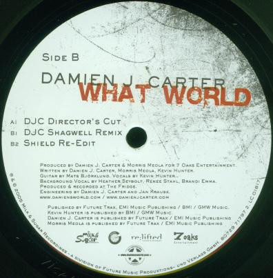 Damien J. Carter - What World | Milk & Sugar Recordings (MSR 087) - 2