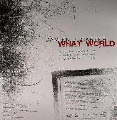 Damien J. Carter - What World | Milk & Sugar Recordings (MSR 087) - 4