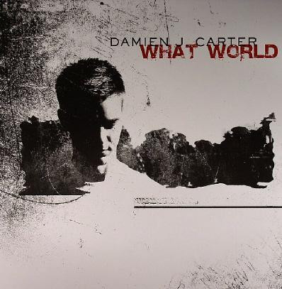 Damien J. Carter - What World | Milk & Sugar Recordings (MSR 087) - 3