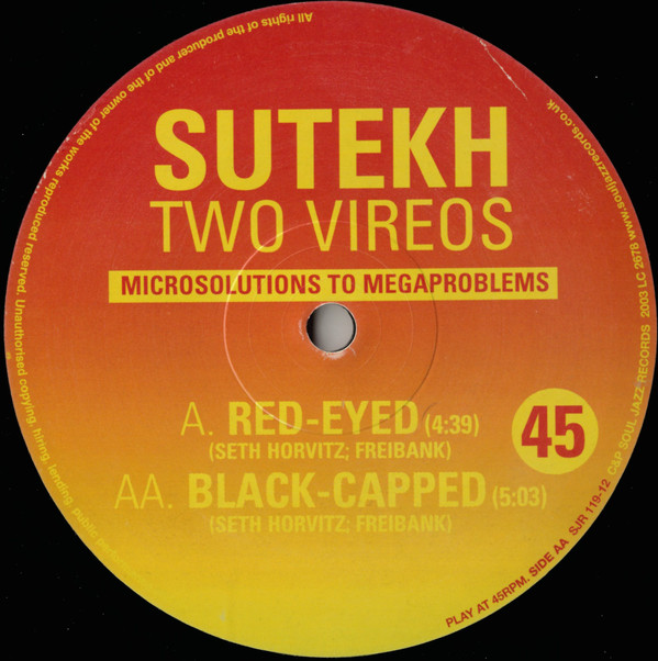 Sutekh - Two Vireos | Soul Jazz Records (SJR 119-12) - 3 Sutekh - Two Vireos | Soul Jazz Records (SJR 119-12) - 3