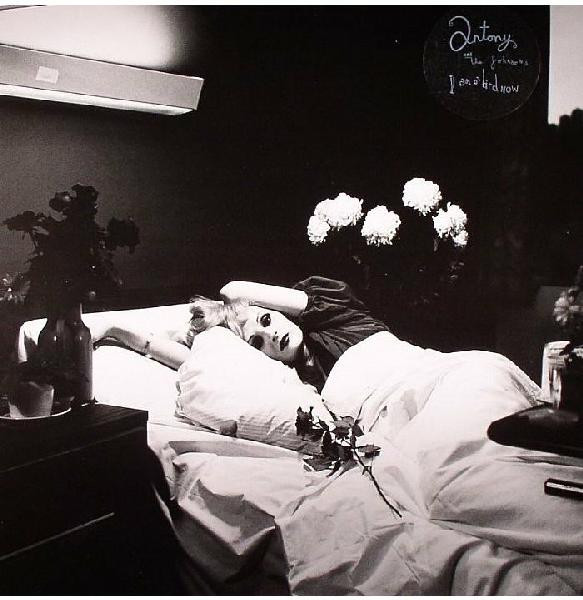 Antony And The Johnsons - I Am A Bird Now | Rough Trade (RTRADLP 223) - main