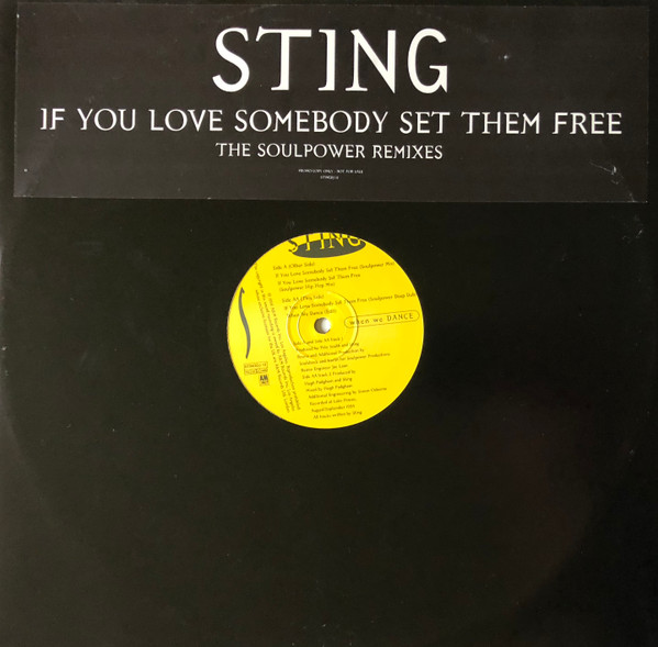 Sting - When We Dance | A&M Records (STINGDJ 12)