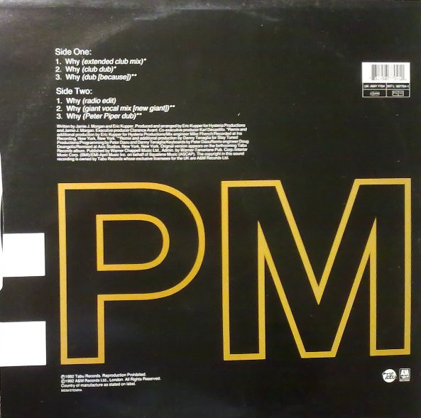 Jamie J. Morgan - Why (Danny Tenaglia Remixes) | A&M PM (AMY 7704) - 2