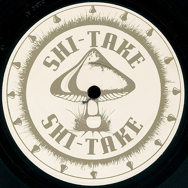 Shi-Take - Digital Domain (The Advent Remixes) | Zoom Records (ZOOM 028R) - 2