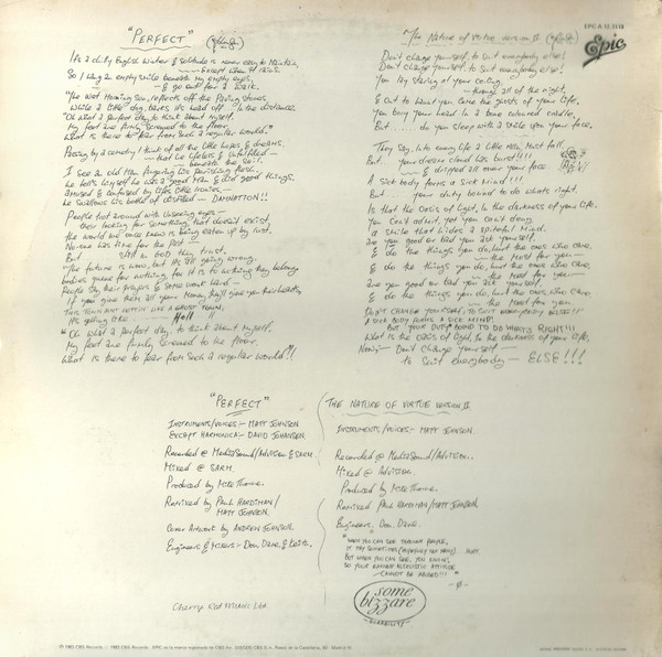 The The - Perfect | Epic (EPC A 12.3119) - 2