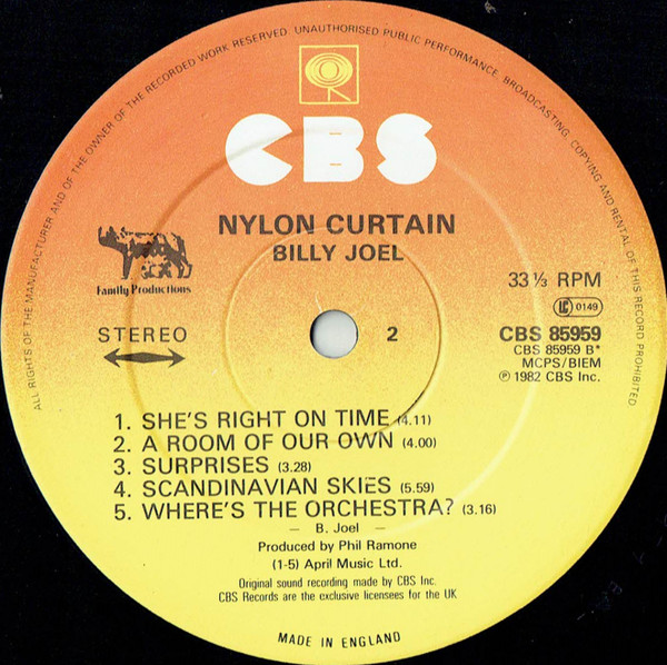 The Nylon Curtain