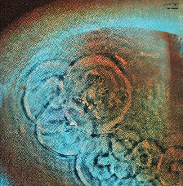 Meddle