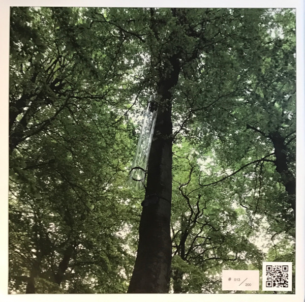 The Forest Organ