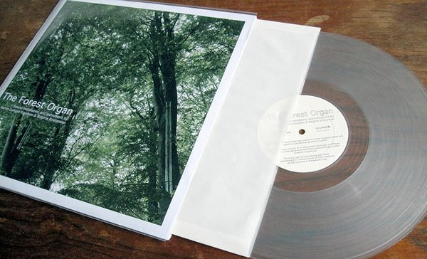 The Forest Organ