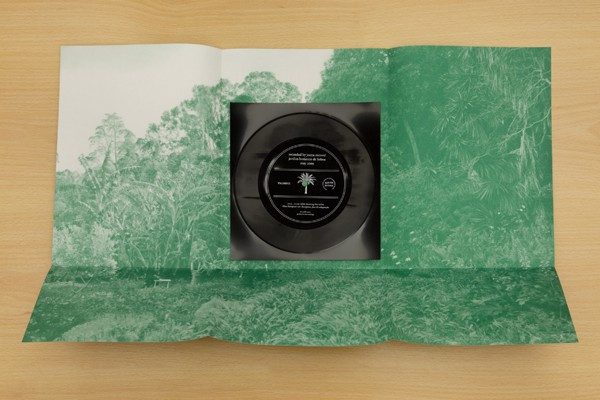 Joana Escoval - 7:13...11:00 While Drawing The Series Olea Europaea Var. Europaea, Fase de Adaptação | Palmario Recordings (PALM001) - 4 Joana Escoval - 7:13...11:00 While Drawing The Series Olea Europaea Var. Europaea, Fase de Adaptação | Palmario Recordings (PALM001) - 4