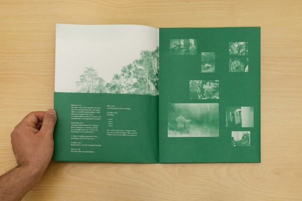 Joana Escoval - 7:13...11:00 While Drawing The Series Olea Europaea Var. Europaea, Fase de Adaptação | Palmario Recordings (PALM001) - 2 Joana Escoval - 7:13...11:00 While Drawing The Series Olea Europaea Var. Europaea, Fase de Adaptação | Palmario Recordings (PALM001) - 2