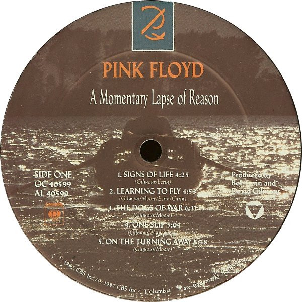A Momentary Lapse Of Reason