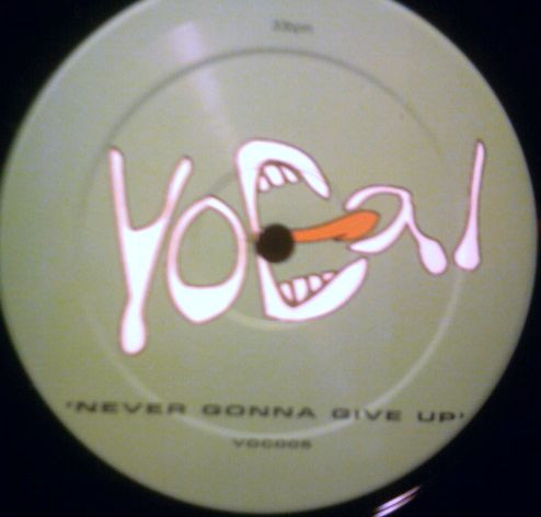 The Miami Collective - Never Gonna Give Up | Vocal Records (VOC005) - 3