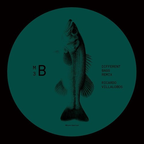 Felipe Valenzuela & Jkco Mosqueira - Different Bass | Melisma Limited (ML03) - 2 Felipe Valenzuela & Jkco Mosqueira - Different Bass | Melisma Limited (ML03) - 2