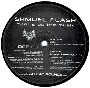 Shmuel Flash - Can't Stop The Musik | Dead Cat Bounce (DCB 001)
