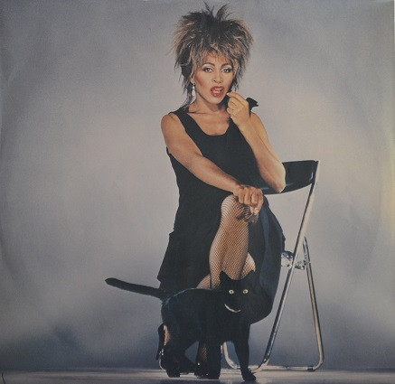 Tina Turner - Private Dancer | Capitol Records (ST-512330) - 4