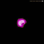 John Thomas - Square | Logistic Records (log.11)