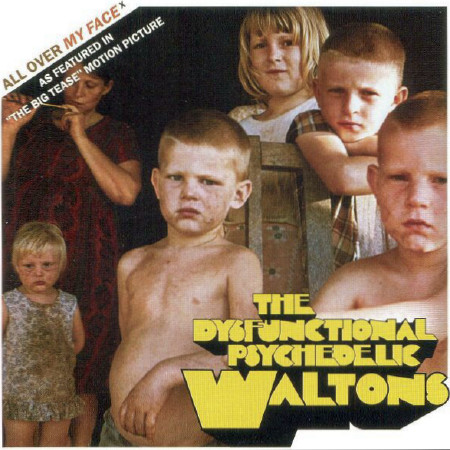 The Dysfunctional Psychedelic Waltons - All Over My Face | Virgin (VUST160)