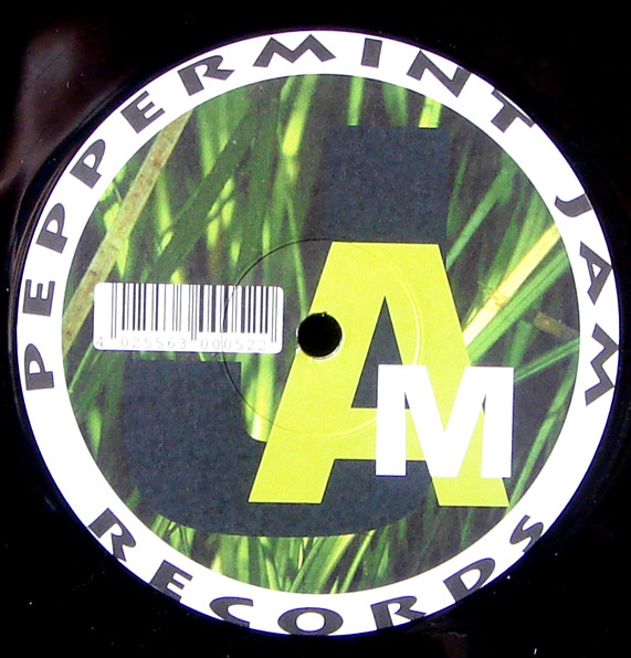 Mezzoforte - Gardenparty | Peppermint Jam (PJMS0052) - 2