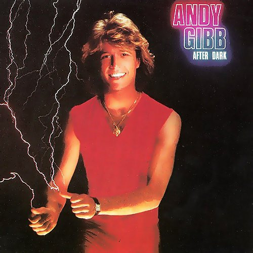 Andy Gibb - After Dark | RSO (2394 247) - main Andy Gibb - After Dark | RSO (2394 247) - main
