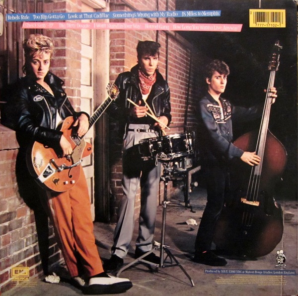 Rant N' Rave With The Stray Cats