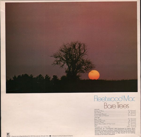 Bare Trees