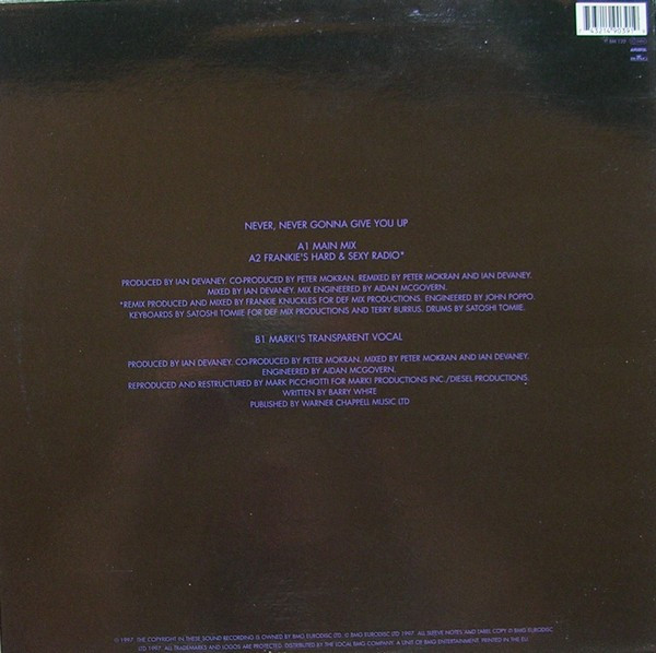 Lisa Stansfield - Never, Never Gonna Give You Up | Arista (74321490391) - 2