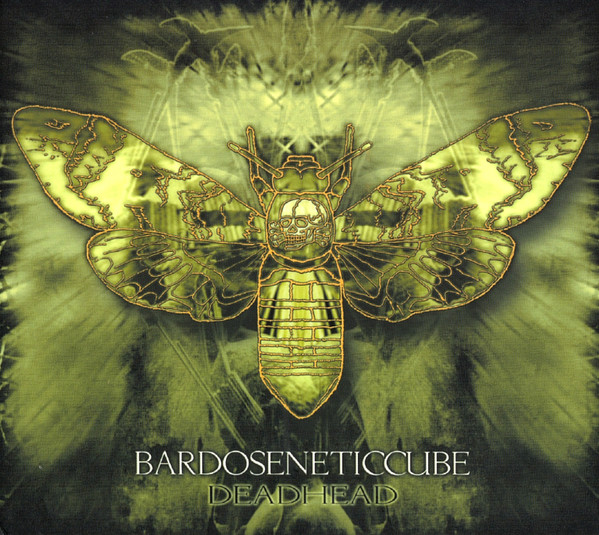Bardoseneticcube - Deadhead | Aquarellist (aquarel 03-05) - main