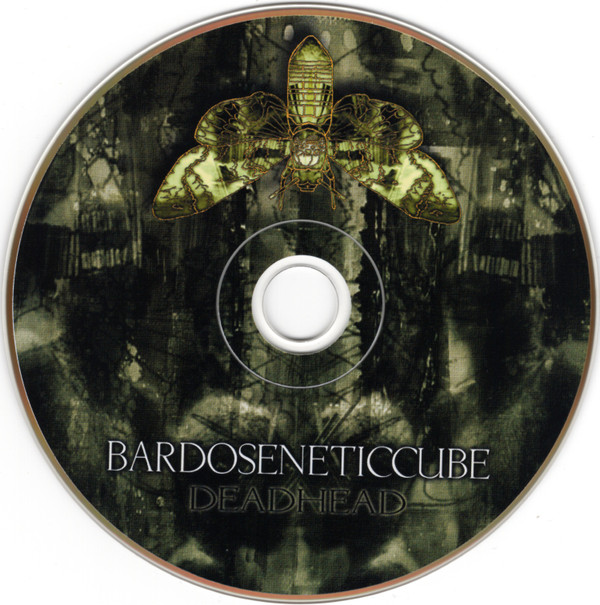 Bardoseneticcube - Deadhead | Aquarellist (aquarel 03-05) - 4