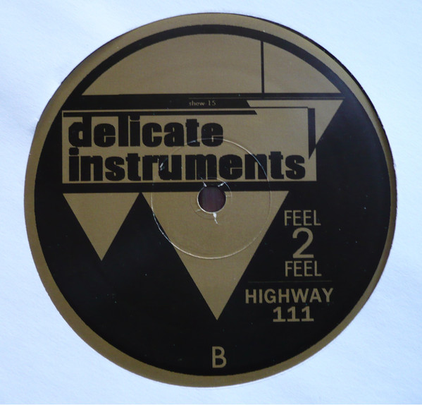 Delicate Instruments - Delicate Instruments EP | Shewey Trax (shew-15) - 2 Delicate Instruments - Delicate Instruments EP | Shewey Trax (shew-15) - 2