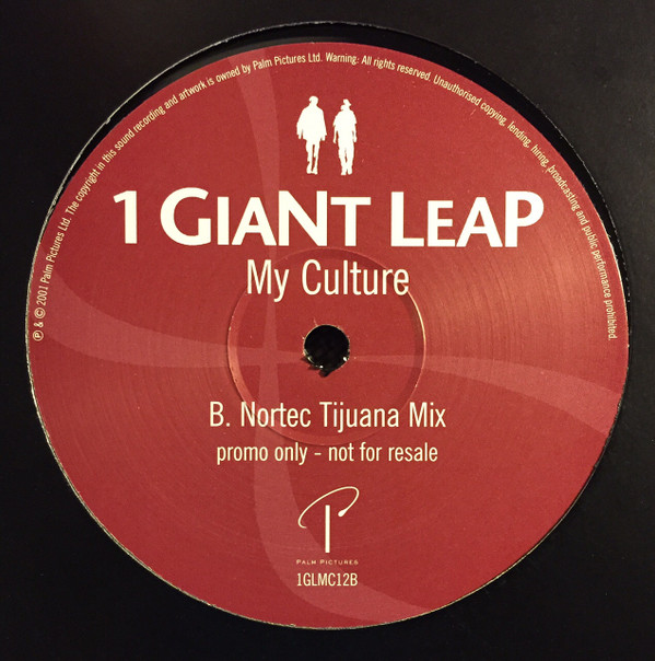 1 Giant Leap - My Culture | Palm Pictures (1GLMC12B) - 2