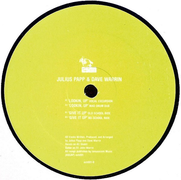 Julius Papp & Dave Warrin - Looking Up | Esho Recordings (esh001) - 2