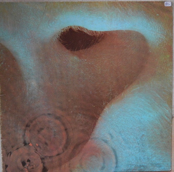 Meddle
