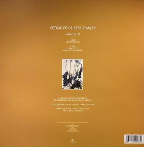 Petrae Foy & Pete Stanley - What Is It! | Sino (SINO 14) - 2