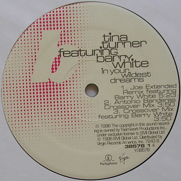 Tina Turner Featuring  Barry White - In Your Wildest Dreams | Virgin (7243 8 38578 1 4) - 4