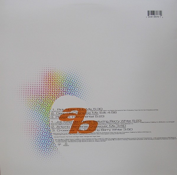 Tina Turner Featuring  Barry White - In Your Wildest Dreams | Virgin (7243 8 38578 1 4) - 2