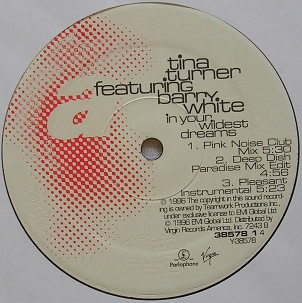 Tina Turner Featuring  Barry White - In Your Wildest Dreams | Virgin (7243 8 38578 1 4) - 3