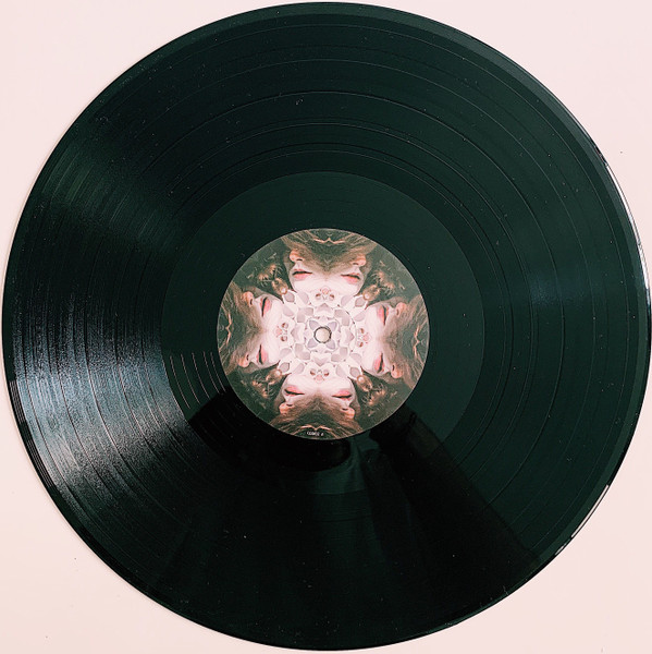 PlanningToRock - Have It All | Chicks On Speed Records (COSR32) - 3 PlanningToRock - Have It All | Chicks On Speed Records (COSR32) - 3