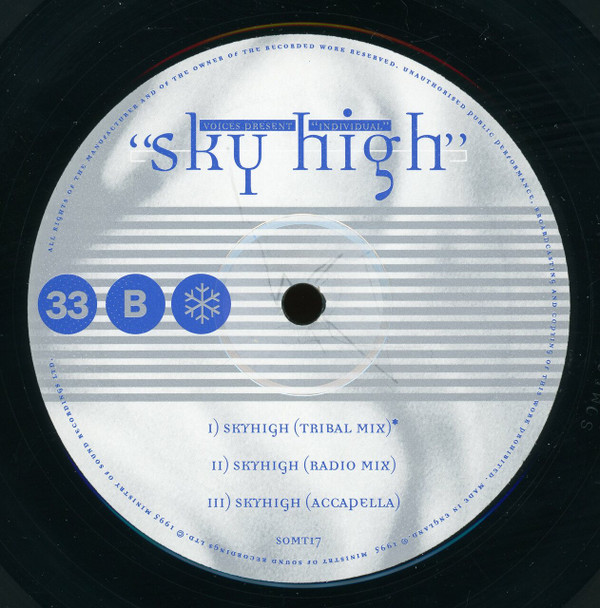 Voices Present Individual - Sky High | Sound Of Ministry (SOMT17) - 4