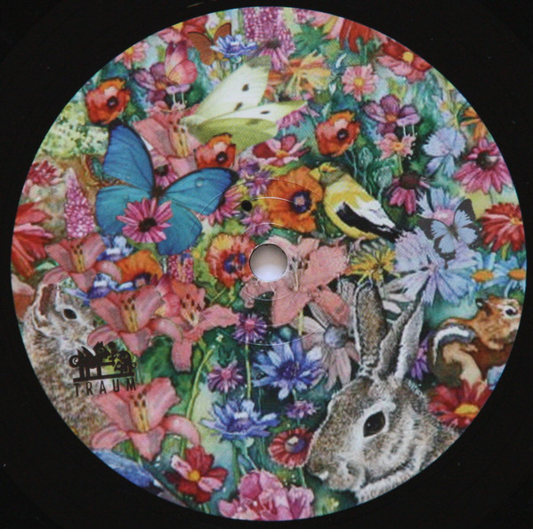 Dominik Eulberg - Blueten Sind Dem Grossen Schillerfalter Fremd (Rmx) | Traum Schallplatten (TRAUM V77) - 2 Dominik Eulberg - Blueten Sind Dem Grossen Schillerfalter Fremd (Rmx) | Traum Schallplatten (TRAUM V77) - 2