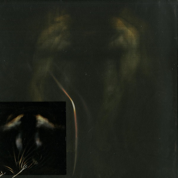 Sunny Charles - DLNOIW: The Remixes | Sleep Is Commercial (SIC018) - main Sunny Charles - DLNOIW: The Remixes | Sleep Is Commercial (SIC018) - main