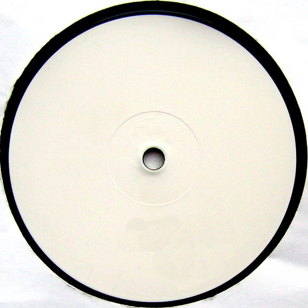 Bizarre Inc - Took My Love | BMG (74321 13093 1) - 3